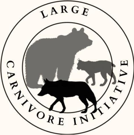 LCI-SK Logo
